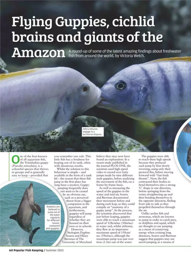 صور Popular Fish Keeping – The Home Aquarium Magazine iPad 