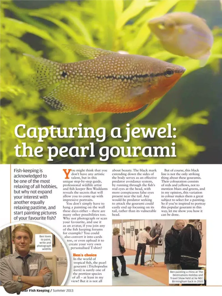 صور Popular Fish Keeping – The Home Aquarium Magazine iPad 