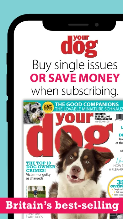 Your Dog Screenshots
