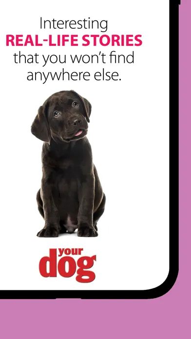 Your Dog Screenshots