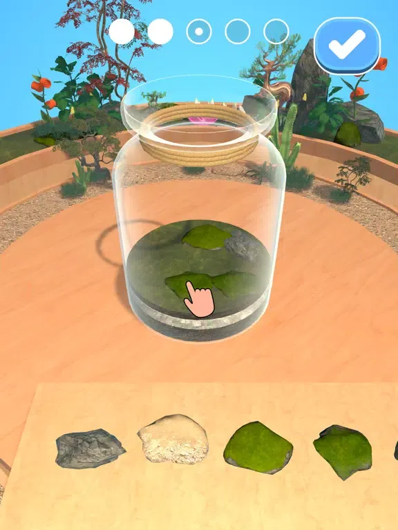 تصاویر Terrarium DIY: Perfect Nature iPad 