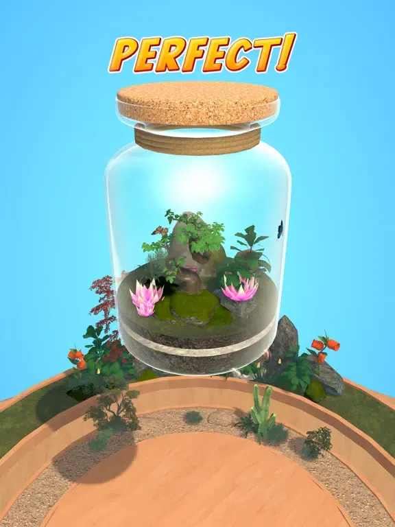 تصاویر Terrarium DIY: Perfect Nature iPad 