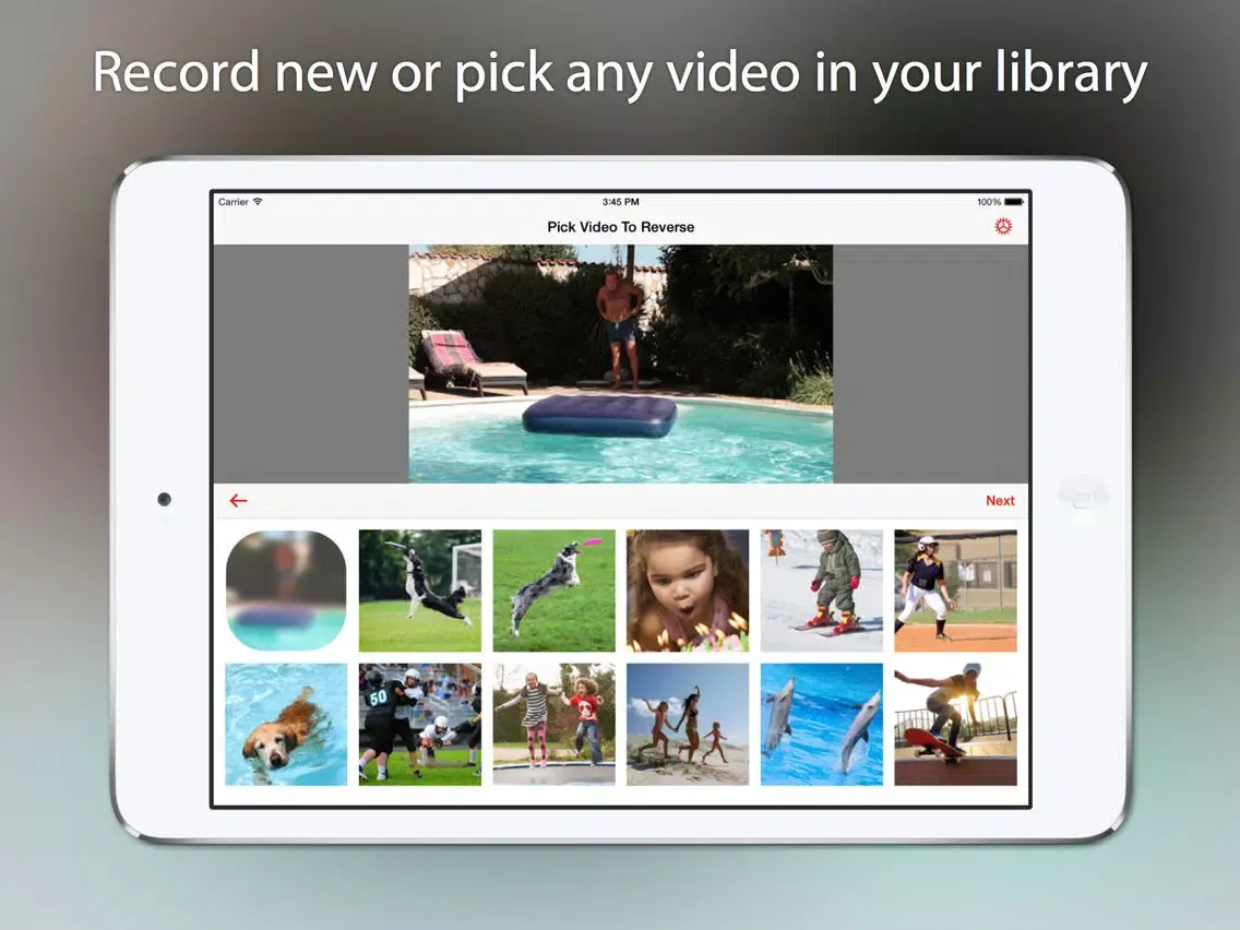 Reverser - Backwards Video Maker with Reverse Cam iPad  스크린샷