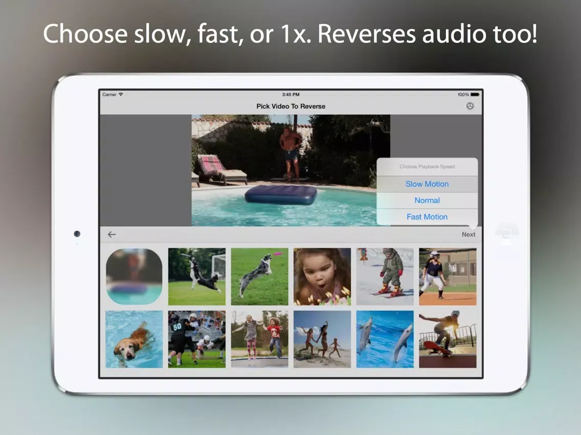 Reverser - Backwards Video Maker with Reverse Cam iPad  스크린샷
