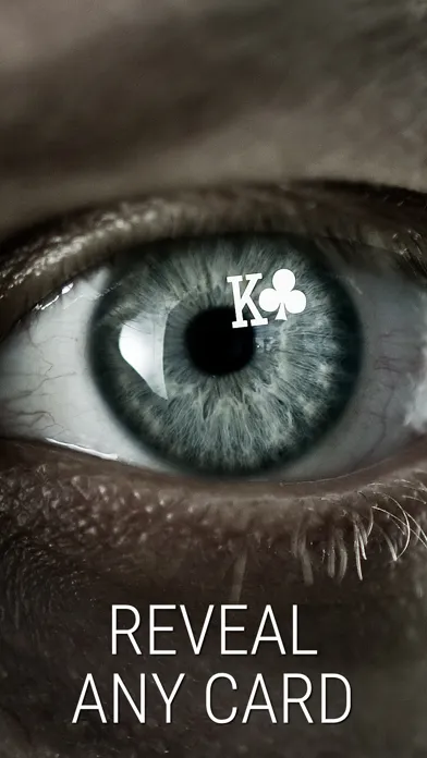 Tangkapan skrin Magic Eye Revelation