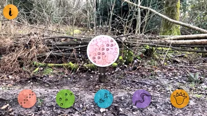 Capturas de tela do The Gruffalo Spotter 2 Aus