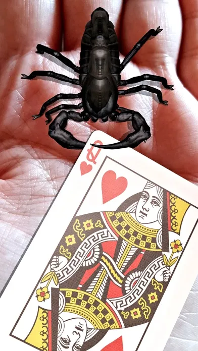 ภาพหน้าจอของ Magic Tricks by Mikael Montier