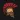 Hoplite