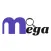 Mega Search