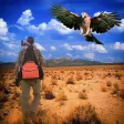 Awesome Birds Hunting