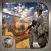 Desert Commando Fight 2017