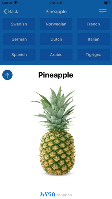 Amharic: Learn 12 Languages Screenshots
