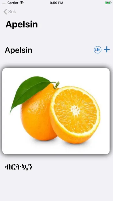 Tigrigna Svenska سکرین شاٹس