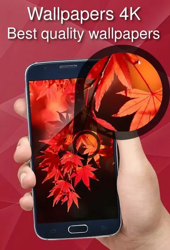 Wallpaper Backgrounds Screenshots