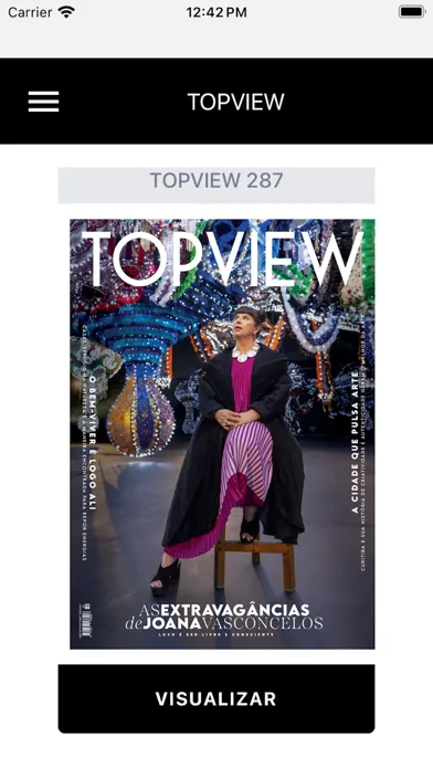 TOPVIEW应用截图