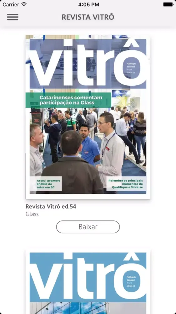 Zrzuty ekranu REVISTA VITRÔ