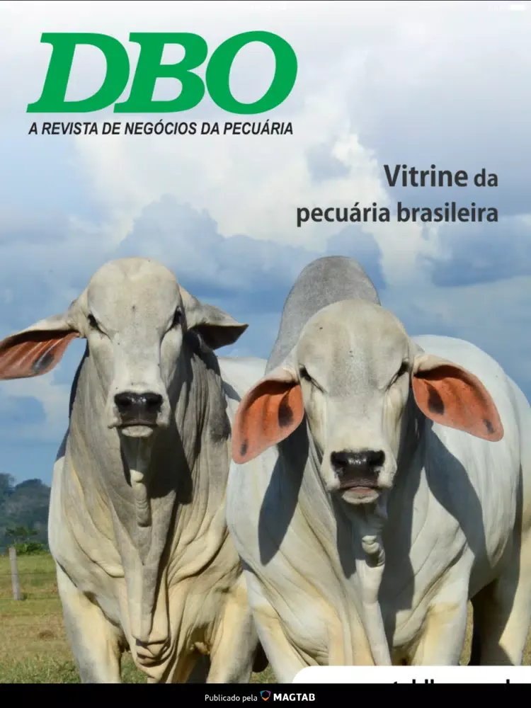 تصاویر Revista DBO iPad 