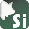 Suinocultura Industrial