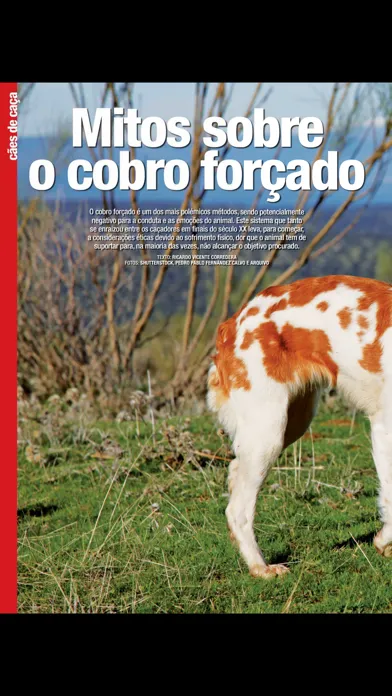 Caça & Cães de Caça Screenshots