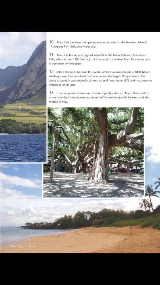 Capturas de tela do Aloha - Maui Visitor Guide