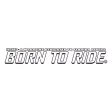 Born To Ride Florida