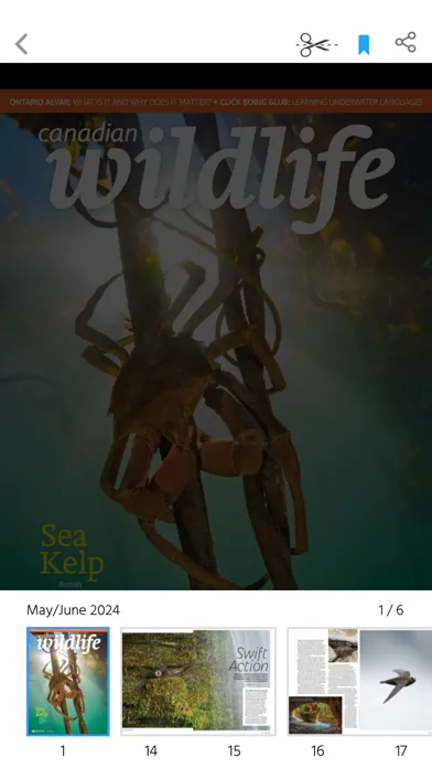 Canadian Wildlife Magazine应用截图