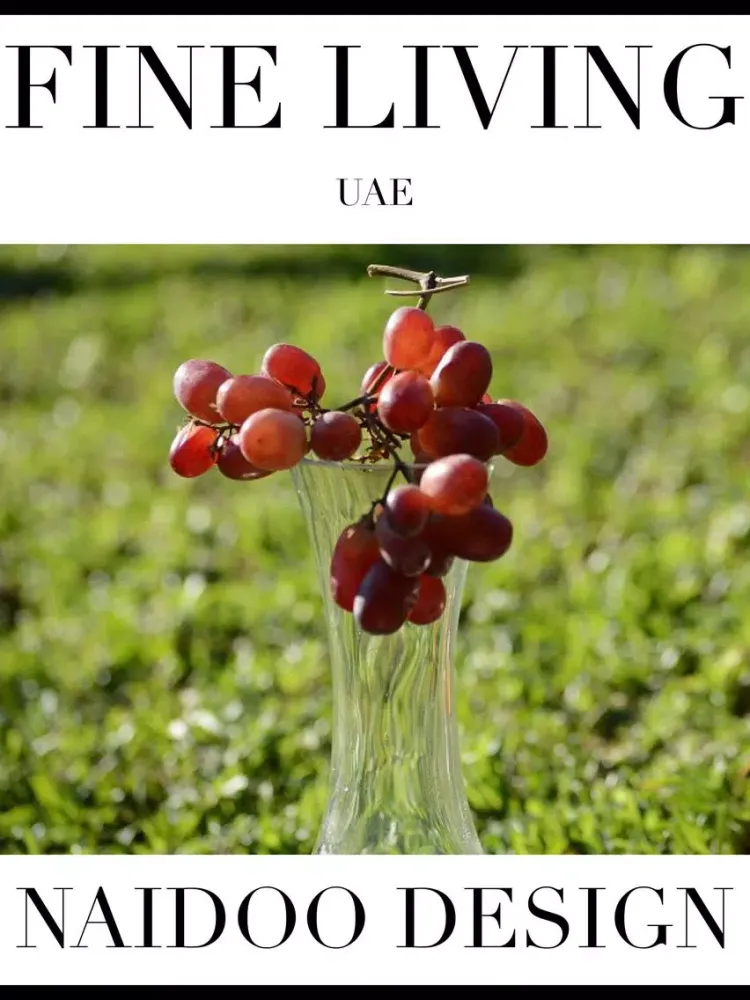 Capturas de tela do FINE LIVING TIMES UAE iPad 