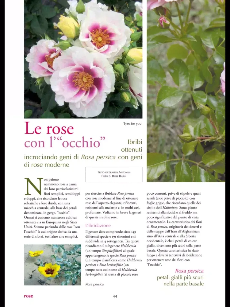 Capturas de pantalla de Giardini iPad 