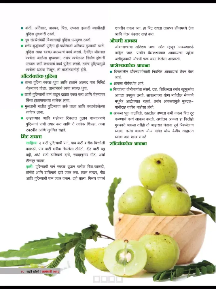 Maajhi Saheli Magazine iPad  Screenshots