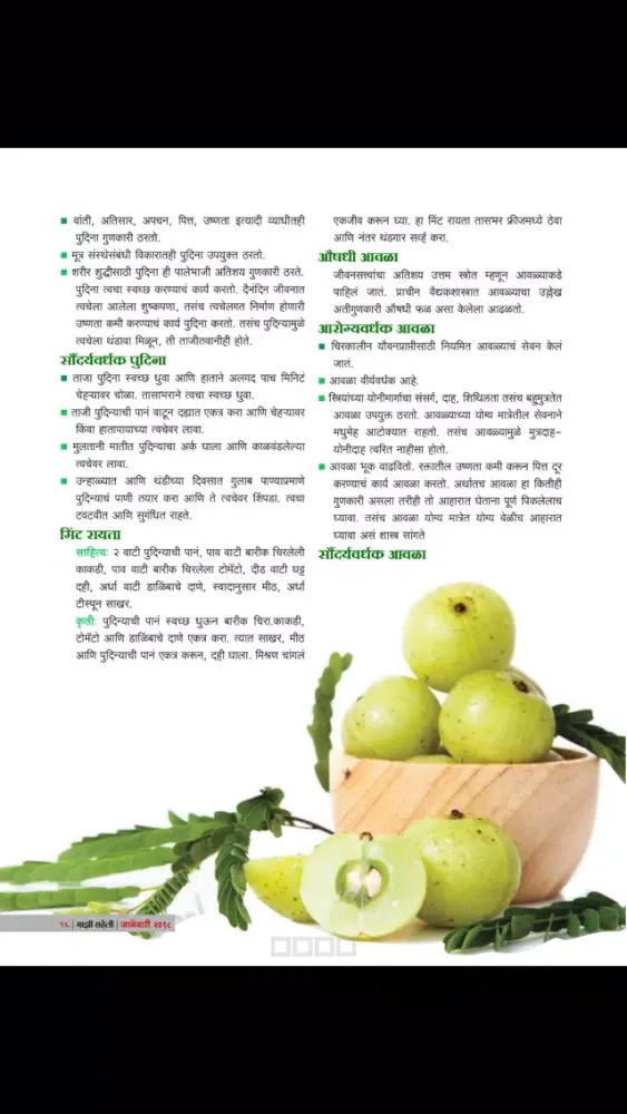 Maajhi Saheli Magazine Screenshots