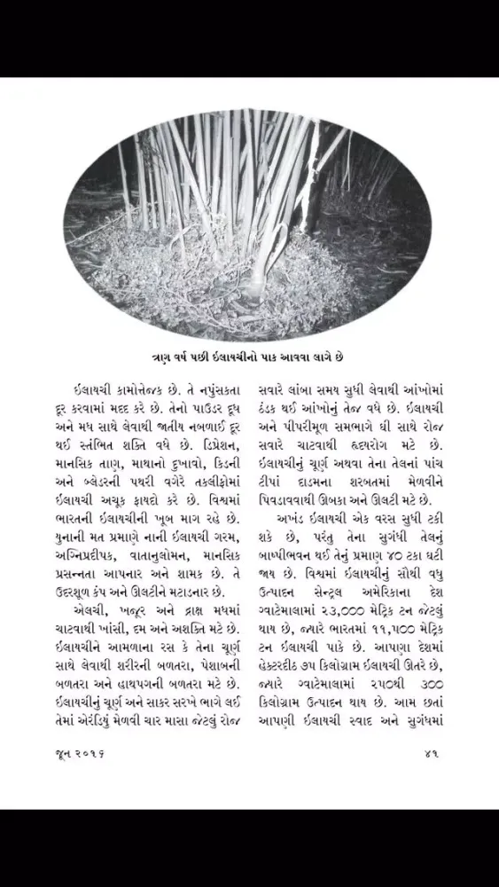 Ảnh chụp màn hình của Navneet Samarpan