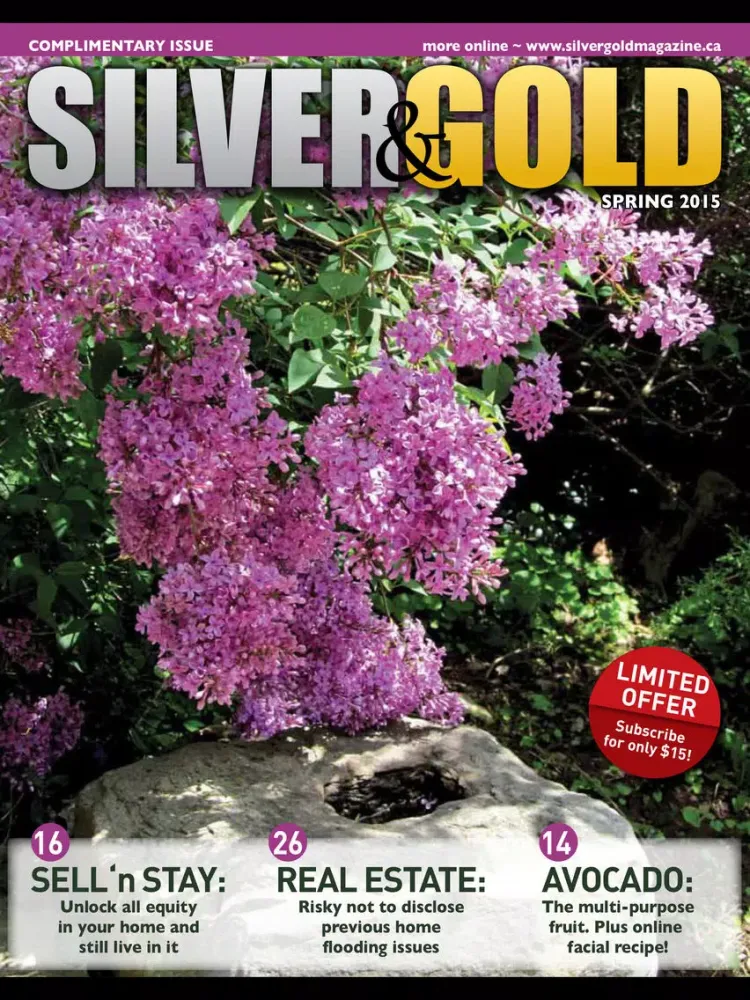 Silver and Gold Magazine iPad 应用截图