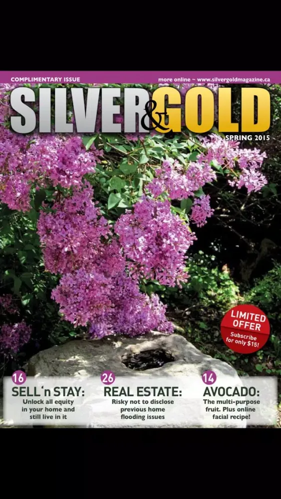 Silver and Gold Magazine应用截图