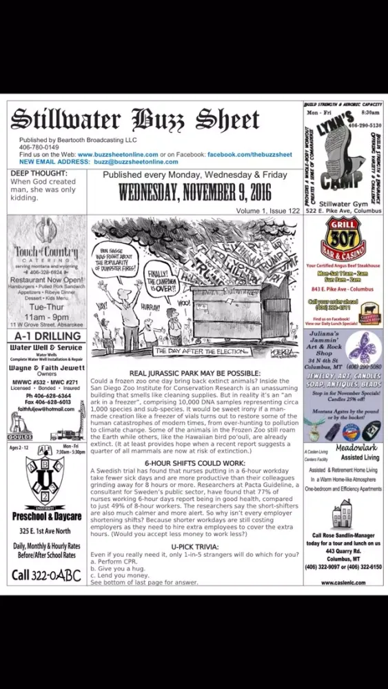 Zrzuty ekranu Stillwater Buzz Sheet