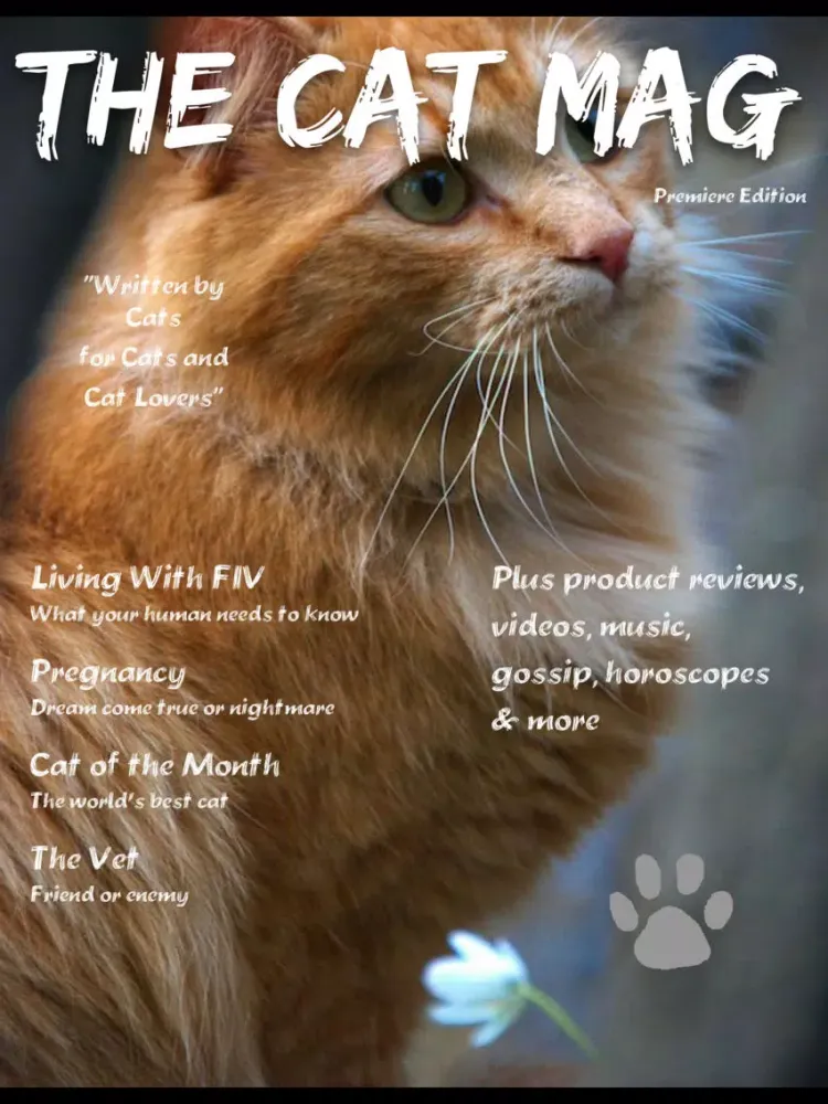 The Cat Mag Magazine iPad  스크린샷