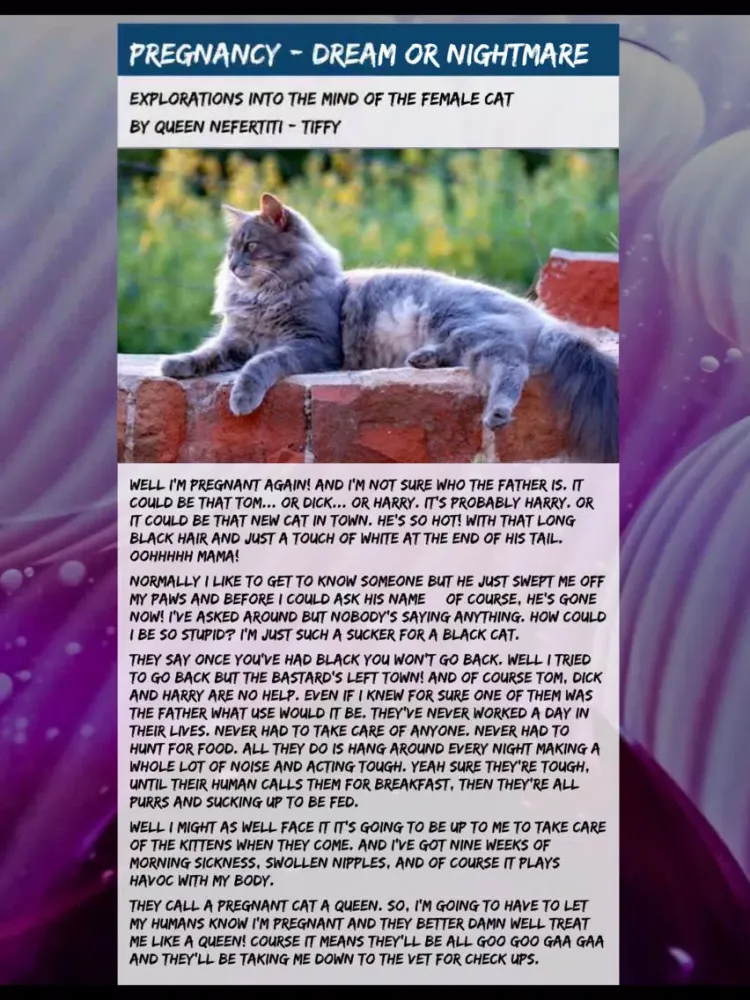 The Cat Mag Magazine iPad  스크린샷