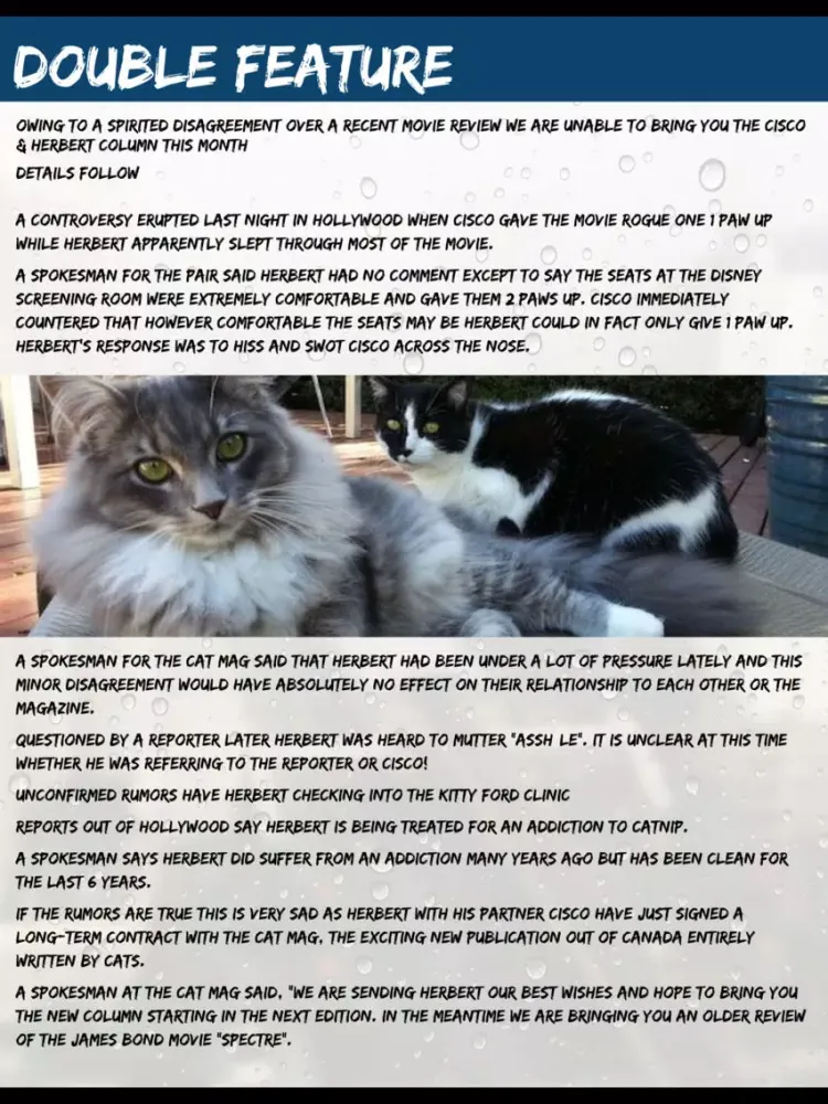 The Cat Mag Magazine iPad  스크린샷