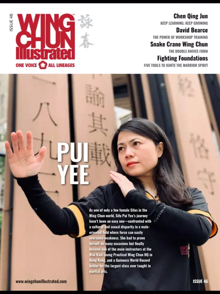 Zrzuty ekranu Wing Chun Illustrated-Magazine iPad 