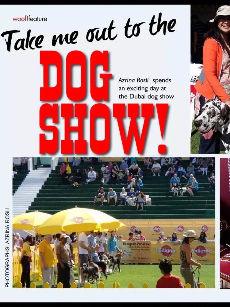 Woof! The Mag with a Wag! iPad  Screenshots