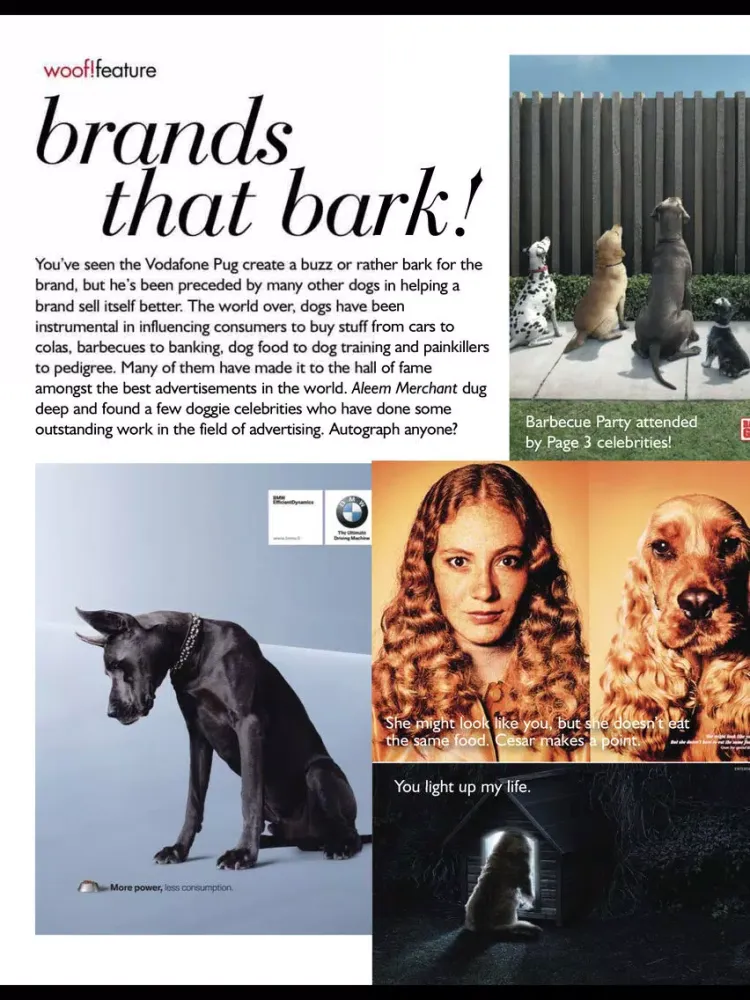 Woof! The Mag with a Wag! iPad  Screenshots