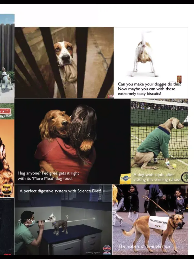 Woof! The Mag with a Wag! iPad  Screenshots