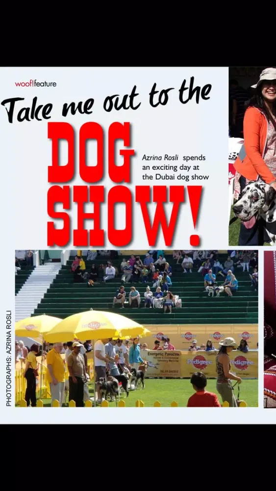 Woof! The Mag with a Wag! Screenshots