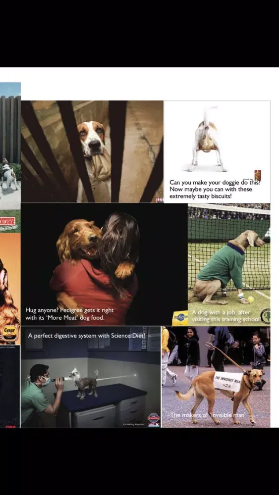 Woof! The Mag with a Wag! Screenshots