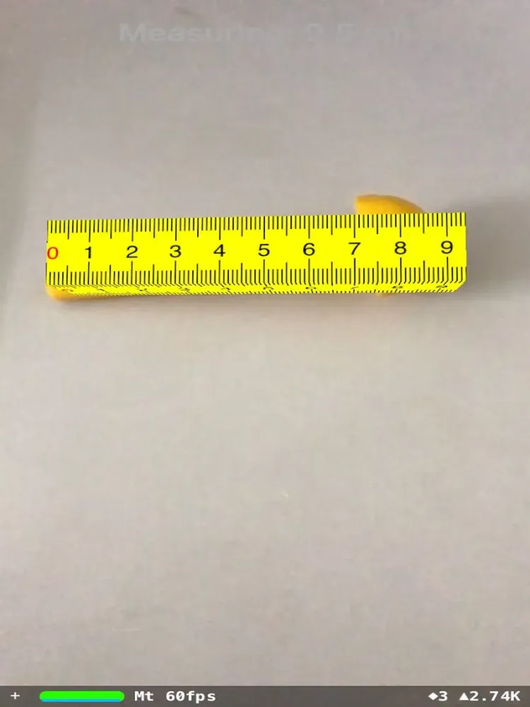 AR Ruler-Camera Tape Measure iPad  스크린샷