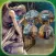 Tomb Of The Unknown Hidden Objects