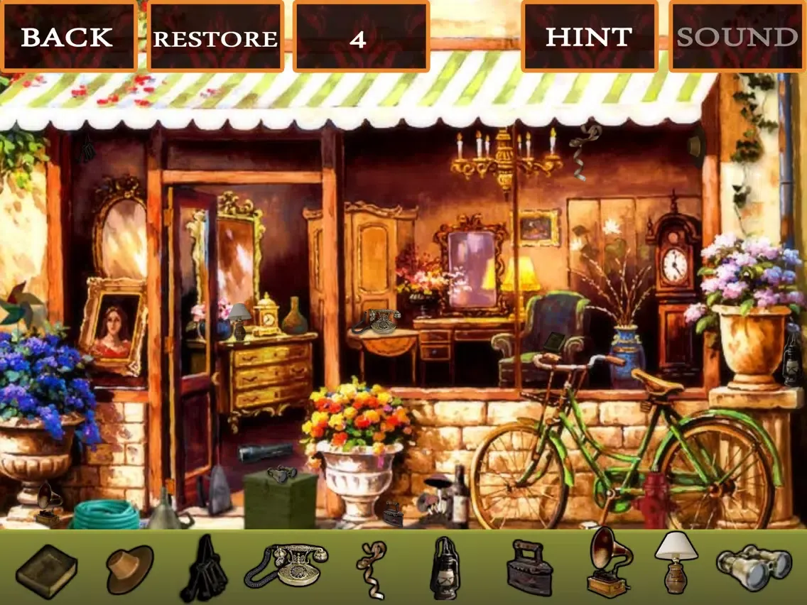 صور Hidden Objects Antique iPad 