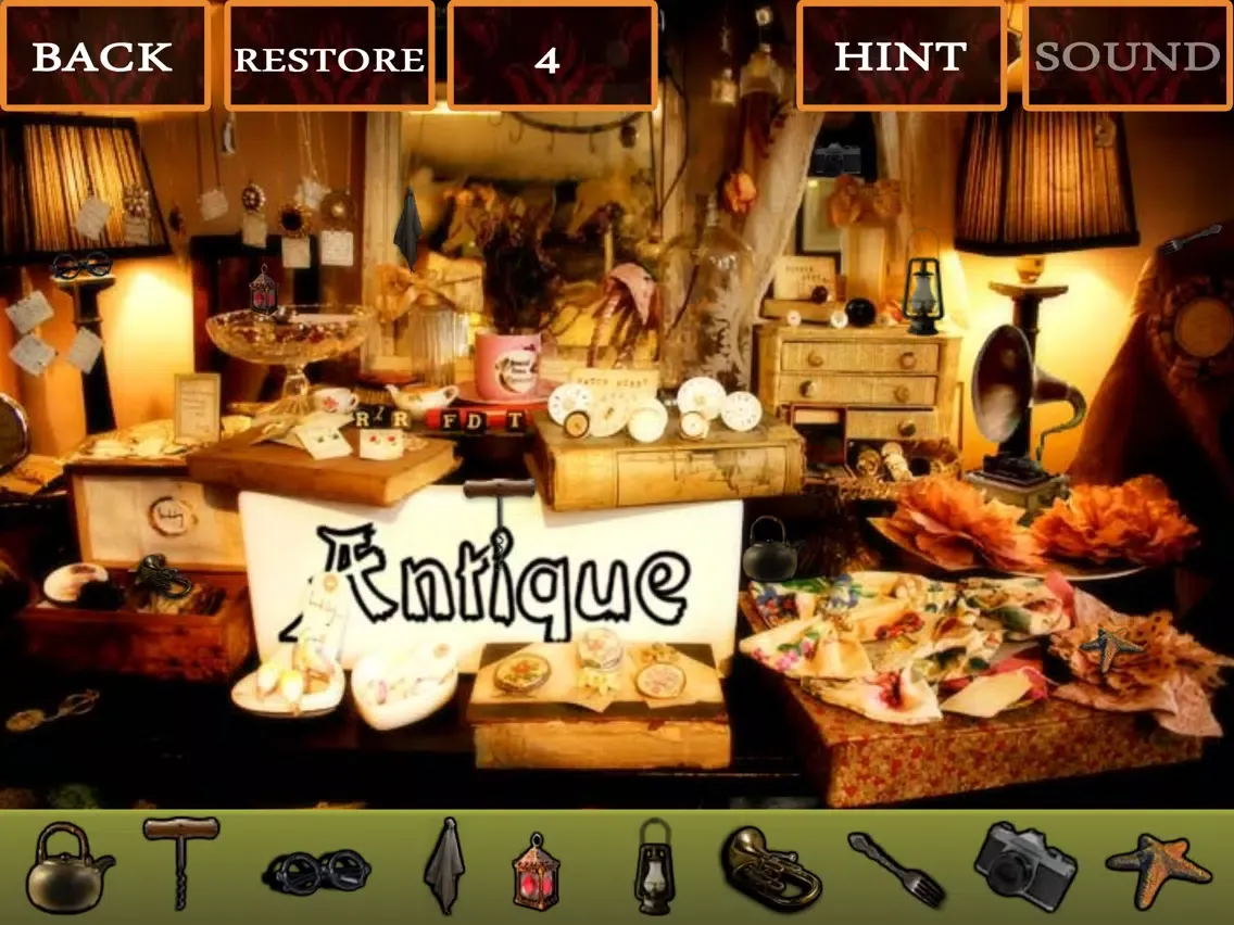 صور Hidden Objects Antique iPad 