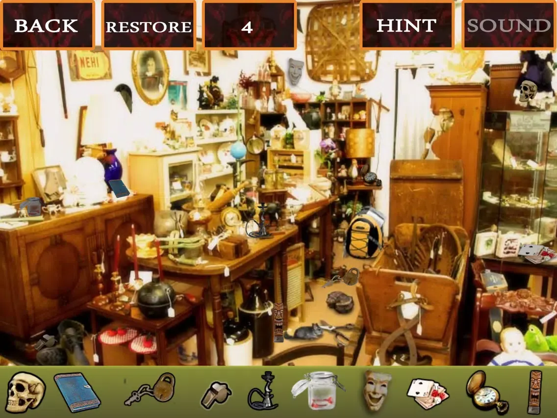 صور Hidden Objects Antique iPad 