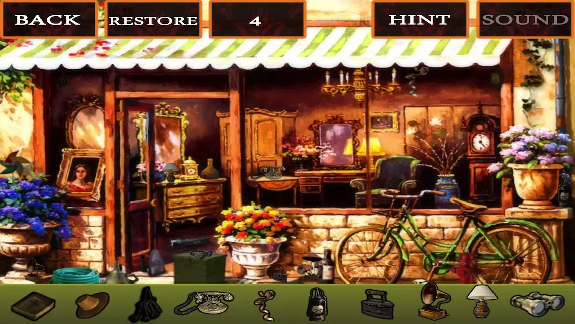 صور Hidden Objects Antique
