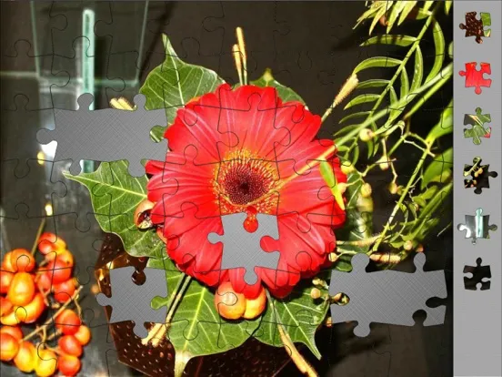 Ảnh chụp màn hình của Jigsaw Puzzles: Flower Quest iPad 
